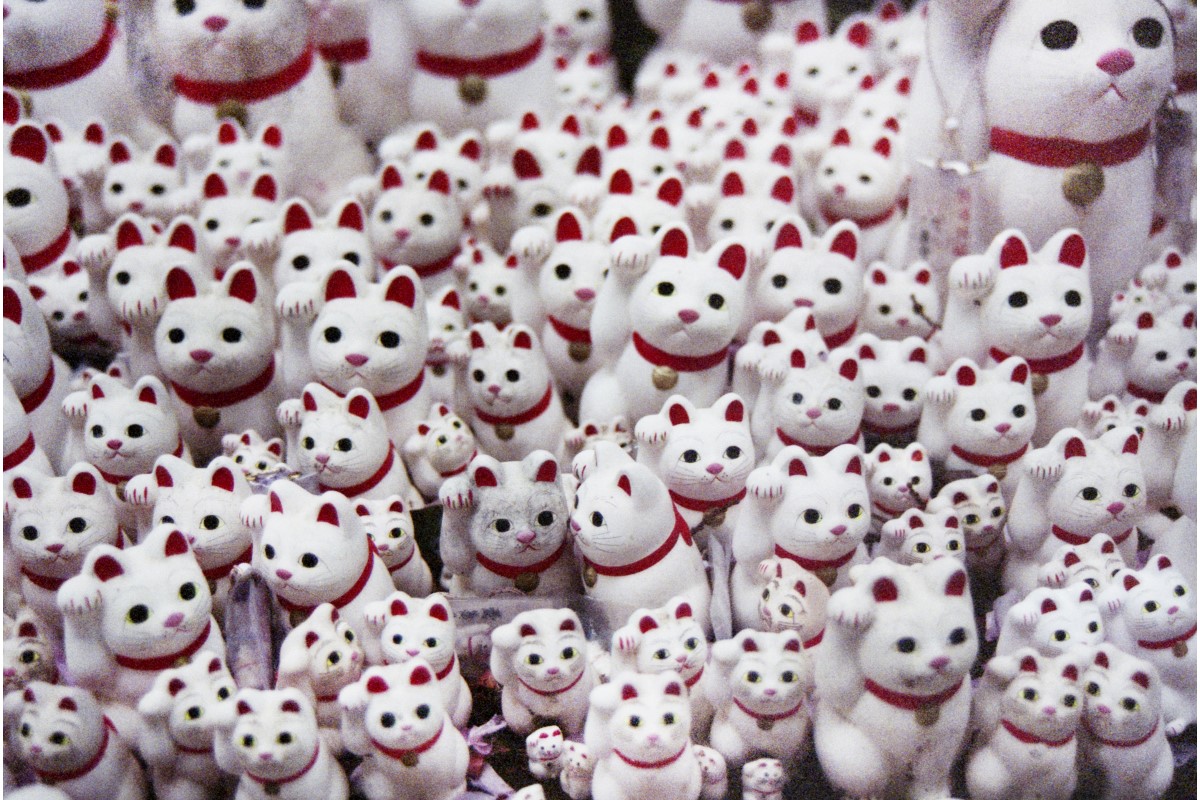 金運が下がる原因になっているよく口にしがちなセリフ。金運体質のお金持ちは絶対言わない、金運ダウンさせる3つのNGワードを風水・四柱推命鑑定師の颯樹先生に教えてもらいました。