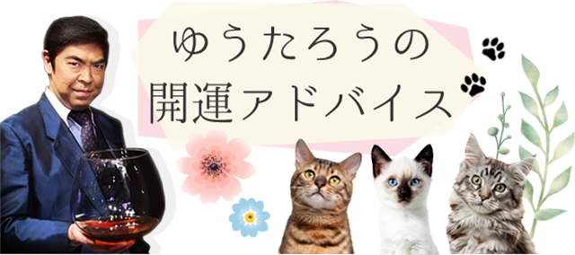 ゆうたろうの開運アドバイス