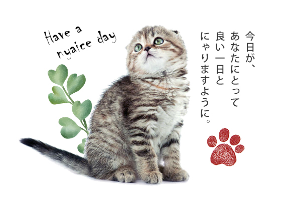 今日があなたにとって良い一日とにゃりますように。
