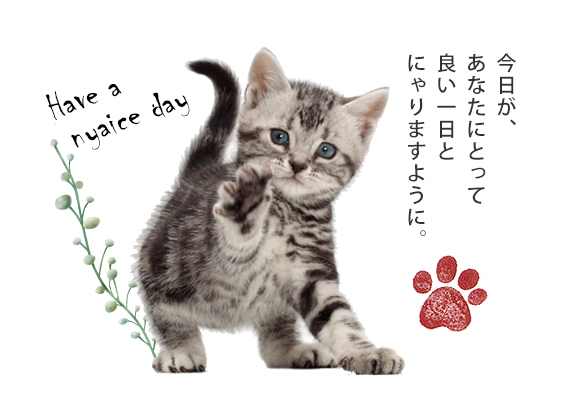 今日があなたにとって良い一日とにゃりますように。