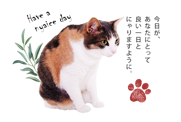 今日があなたにとって良い一日とにゃりますように。