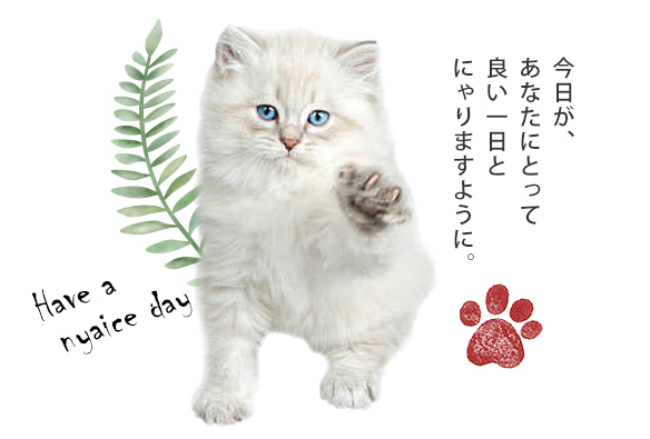 今日があなたにとって良い一日とにゃりますように。