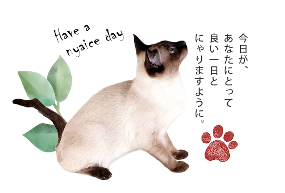 今日があなたにとって良い一日とにゃりますように。