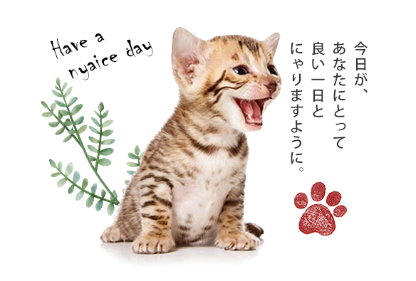 今日があなたにとって良い一日とにゃりますように。
