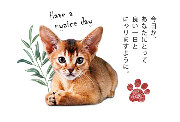 今日があなたにとって良い一日とにゃりますように。