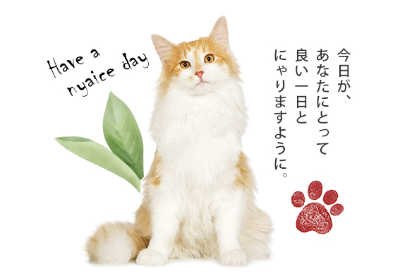 今日があなたにとって良い一日とにゃりますように。