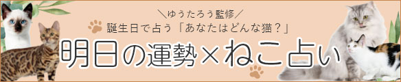 明日の運勢~ねこ占い~