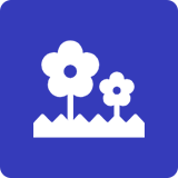 夢占い|虫・植物 夢占い|虫・植物