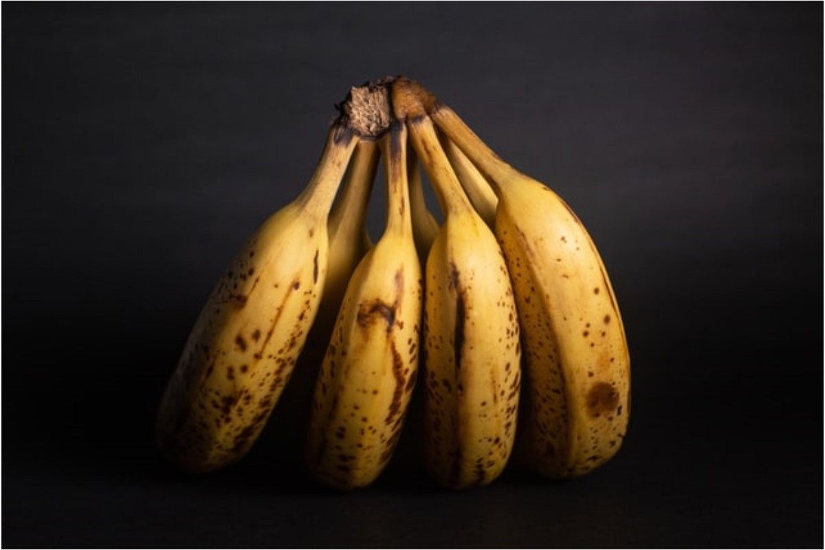 腐る夢は何を暗示している?