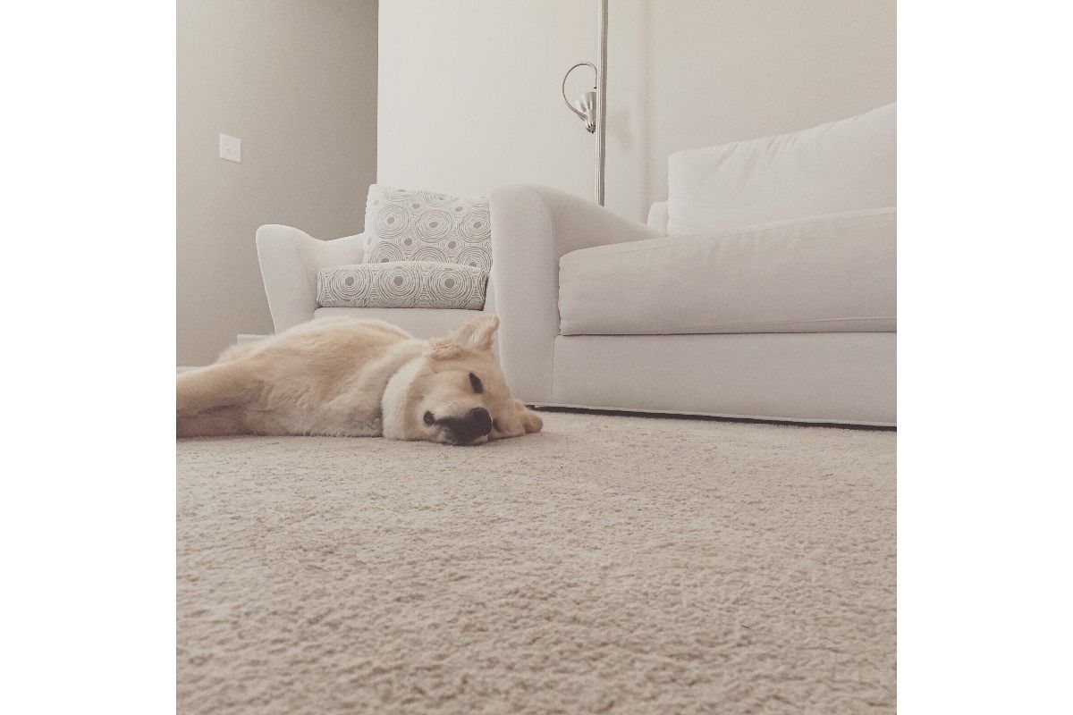 心地よい夢は何を暗示している?