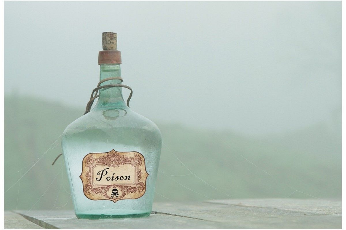 生き物を殺す夢は何を意味している?