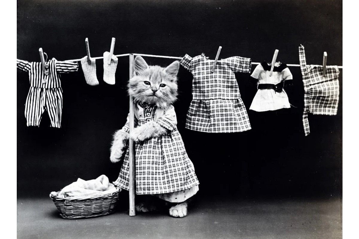 洗濯の夢は何を暗示している?