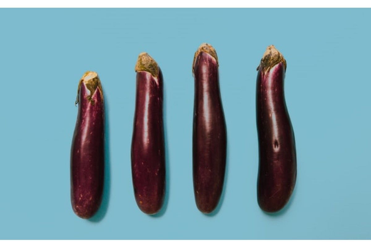 茄子の夢は何を意味している?