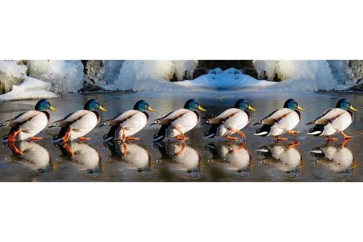 行進の夢は何を暗示している?