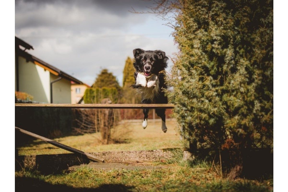 障害物の夢は何を暗示している? | 夢占い分析