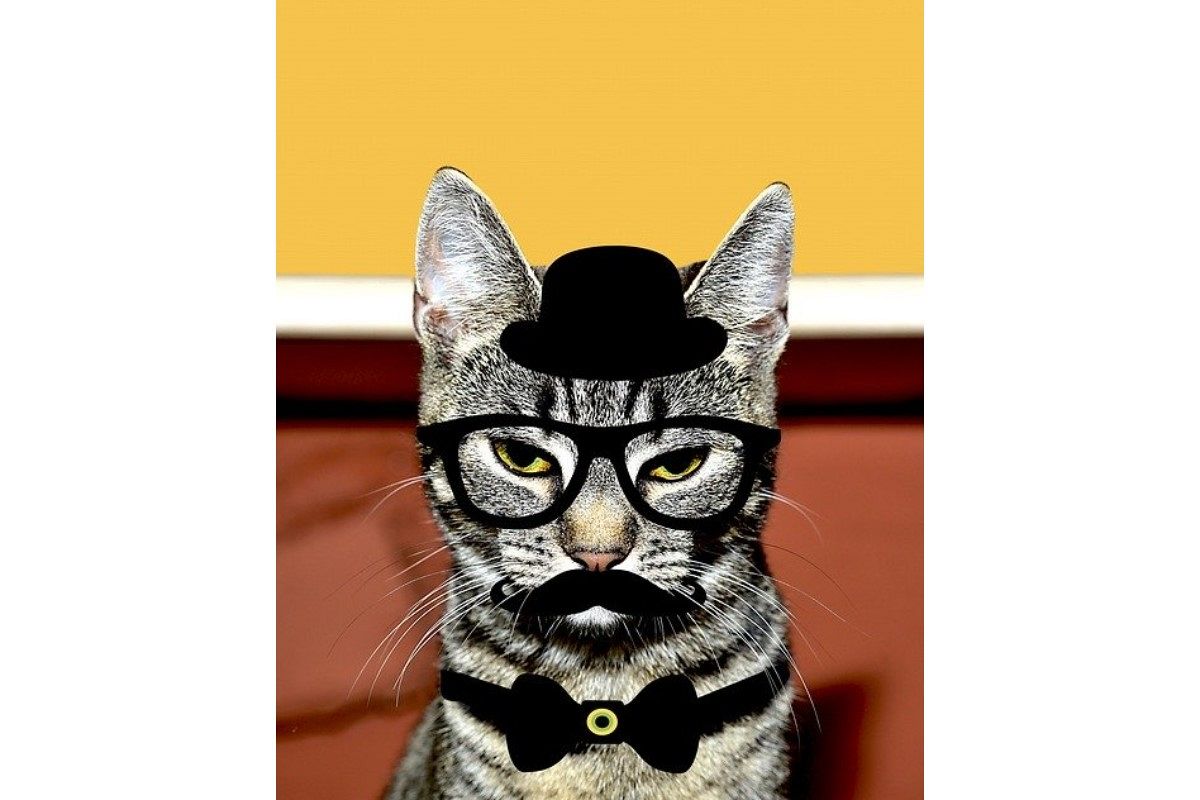 変装の夢は何を暗示している?