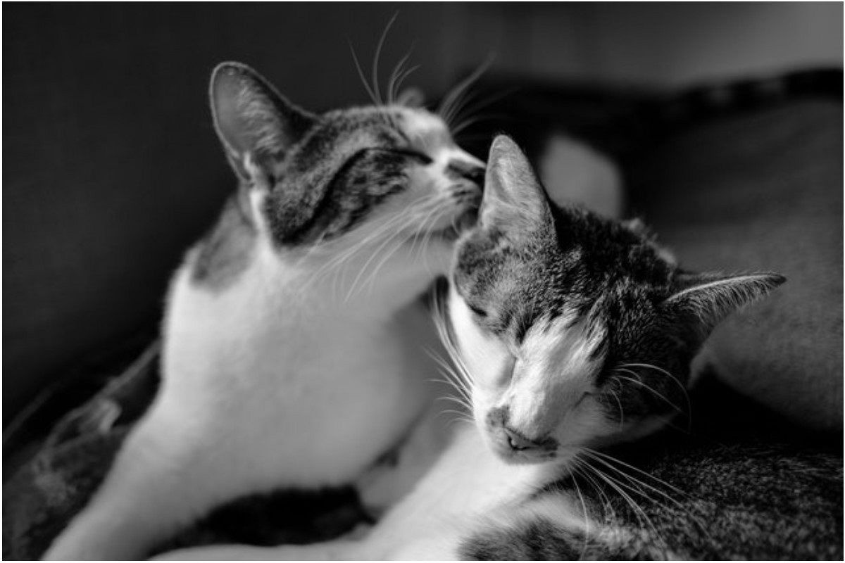 なぐさめられる夢は何を暗示している?