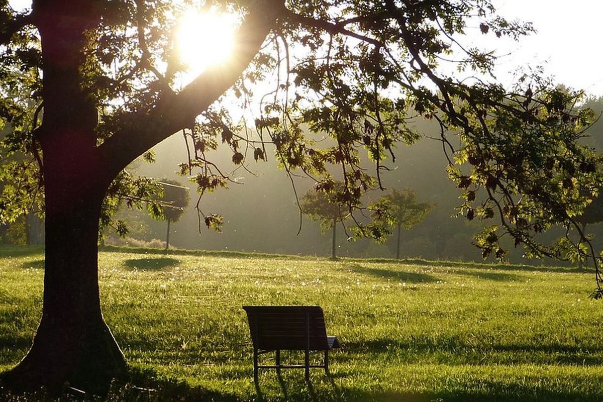 公園の夢は何を意味している?