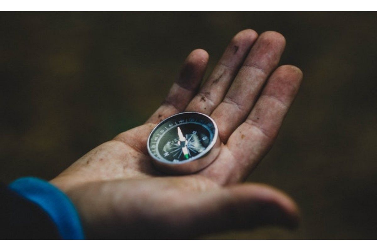 はぐれる夢は何を暗示している?