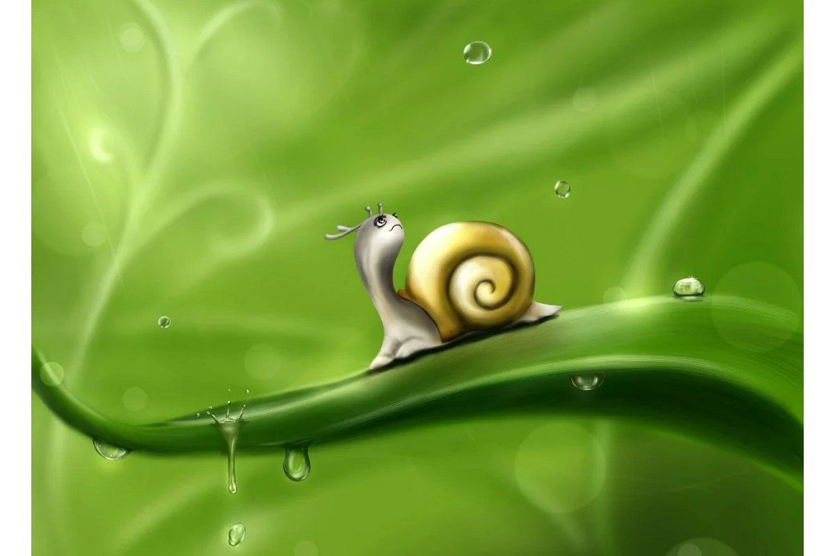 雨漏りの夢は何を暗示している?