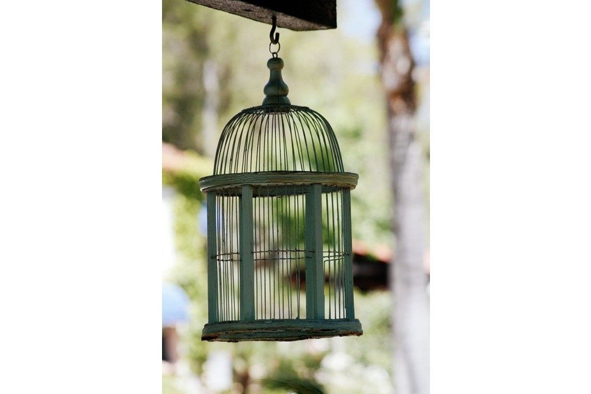 鳥かごの夢は何を暗示している?