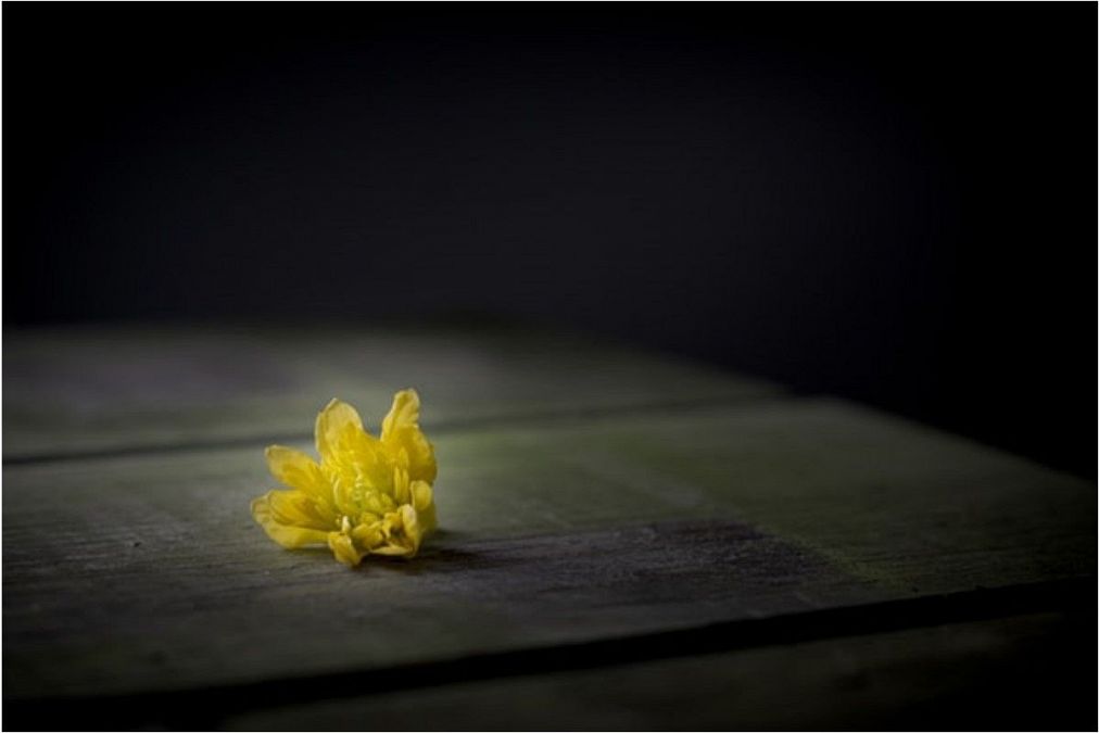 死の宣告の夢は何を意味している?