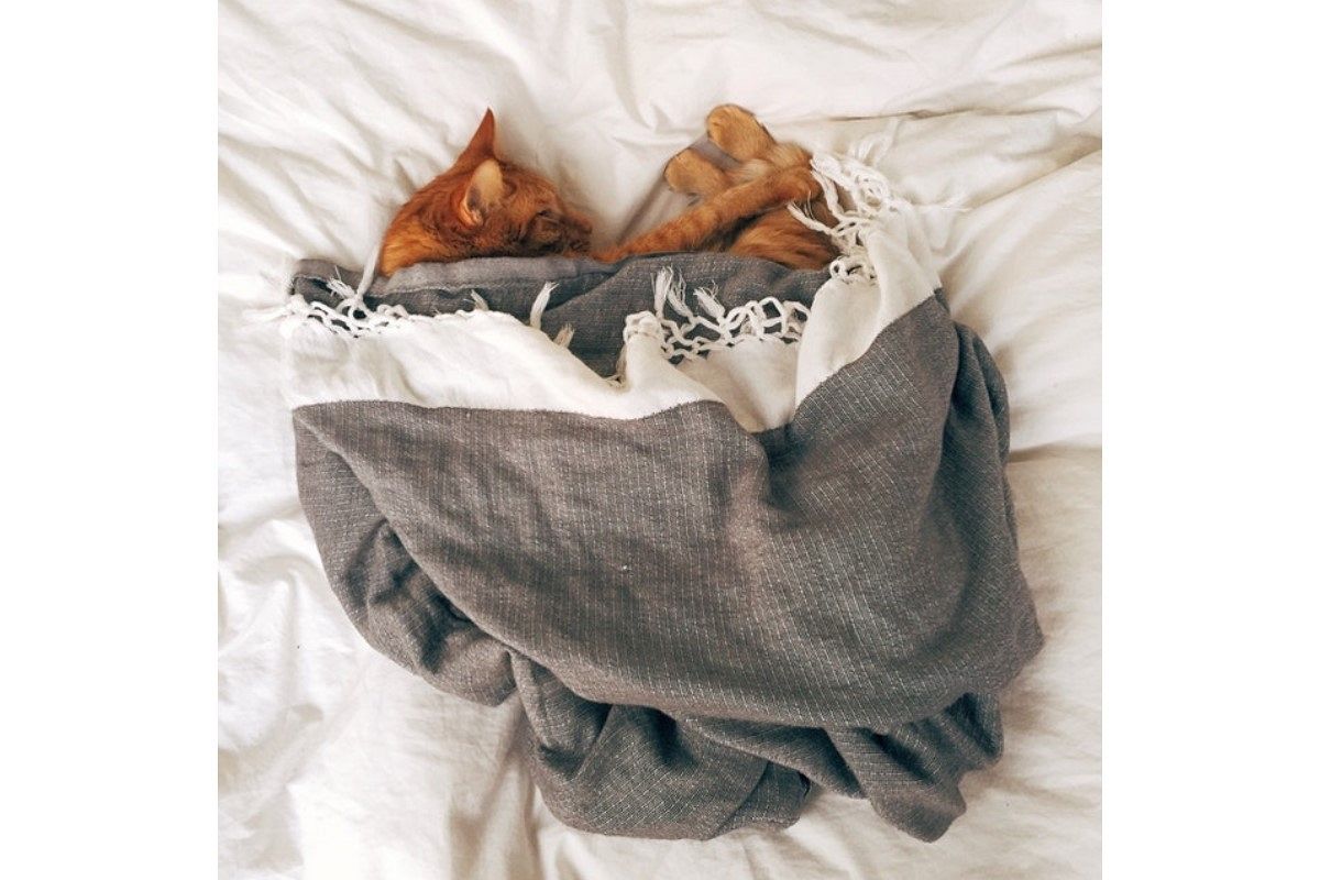 暖かい夢は何を暗示している?