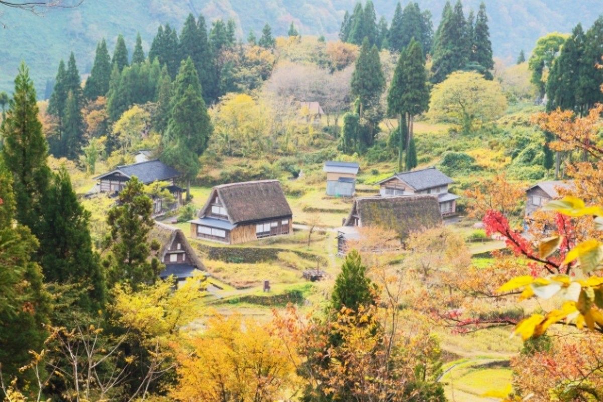 ふるさとの夢は何を意味している?