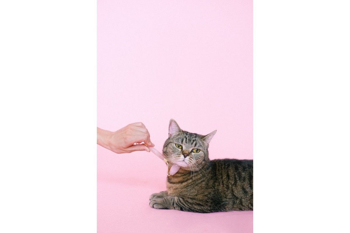 マッサージの夢は何を暗示している?