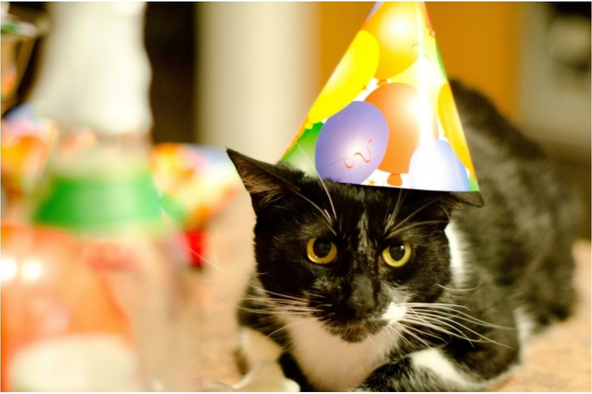 おめかしする夢は何を暗示している?