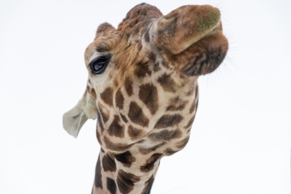 見下す夢は何を暗示している?