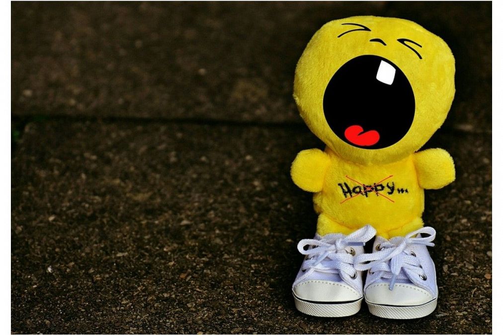 ゴキブリの夢は何を意味している?