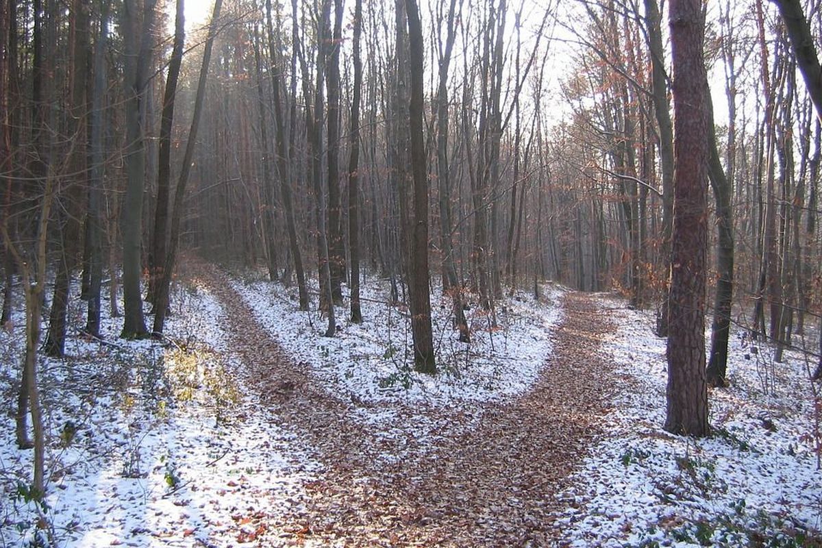 分かれ道の夢は何を暗示している?