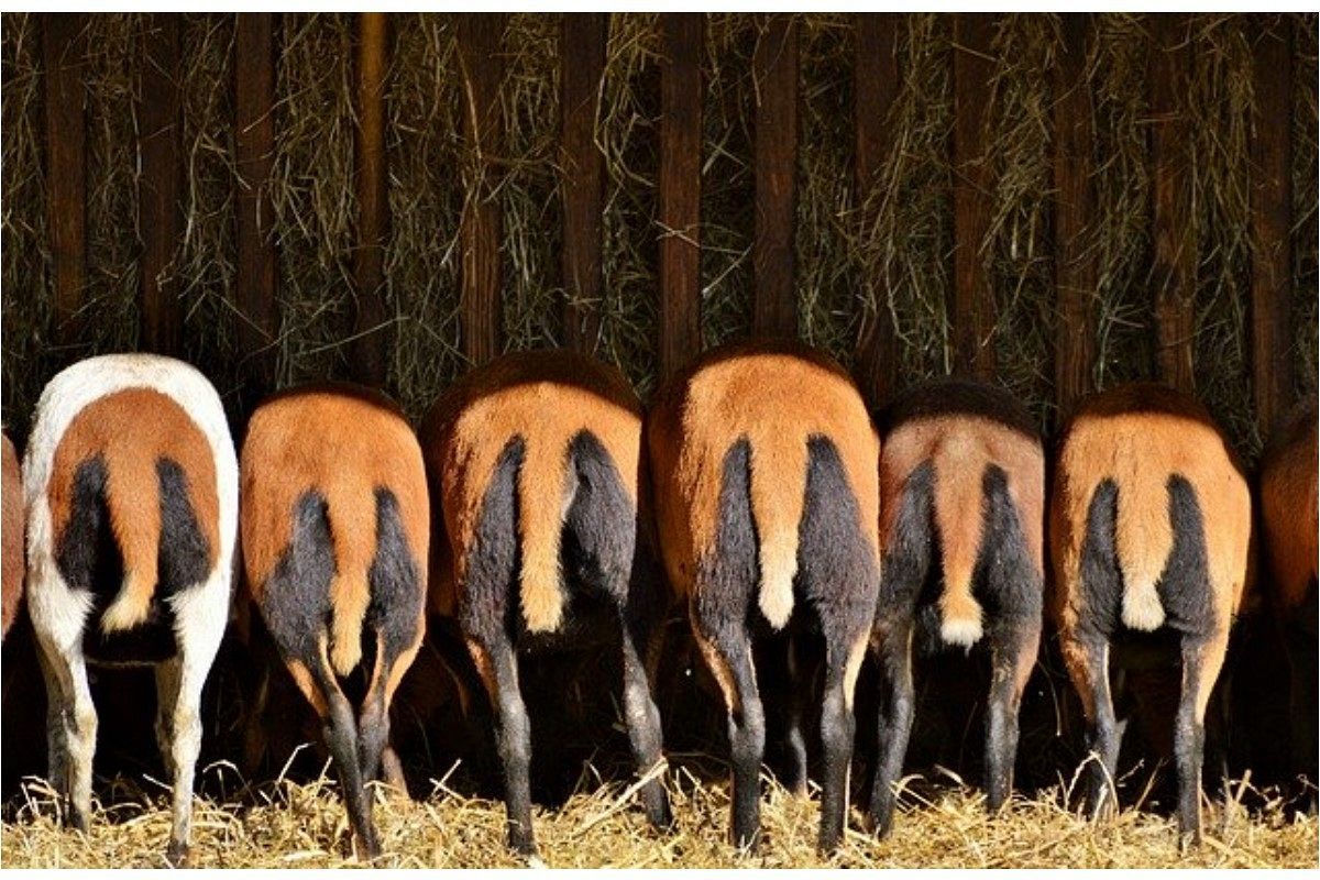 行列の夢は何を暗示している?