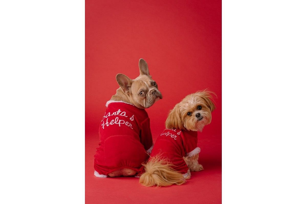 呼ばれる夢は何を暗示している?