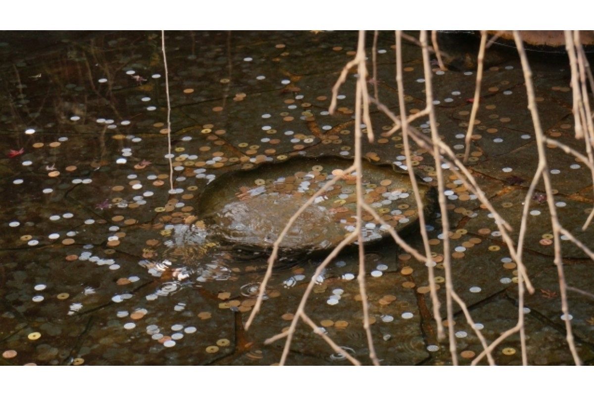 賽銭の夢は何を暗示している?
