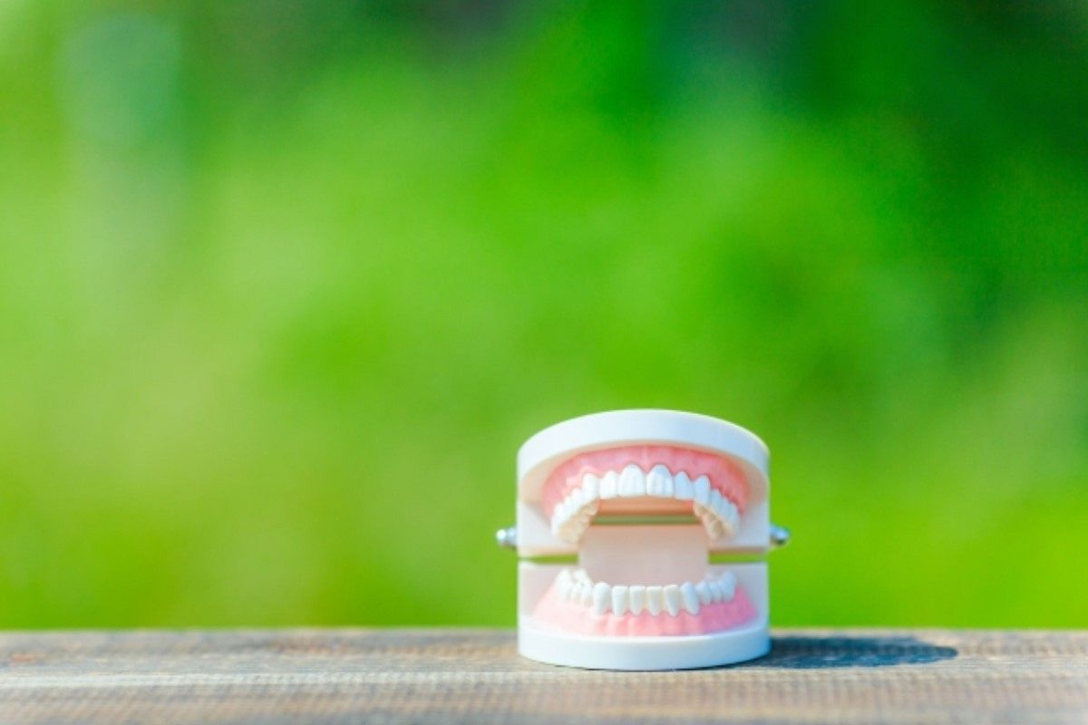 入れ歯の夢は何を暗示している?