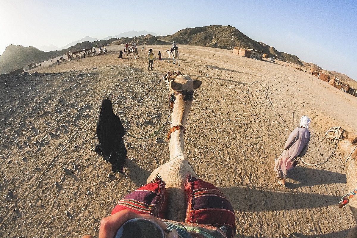 見学の夢は何を暗示している? | シンボルの意味