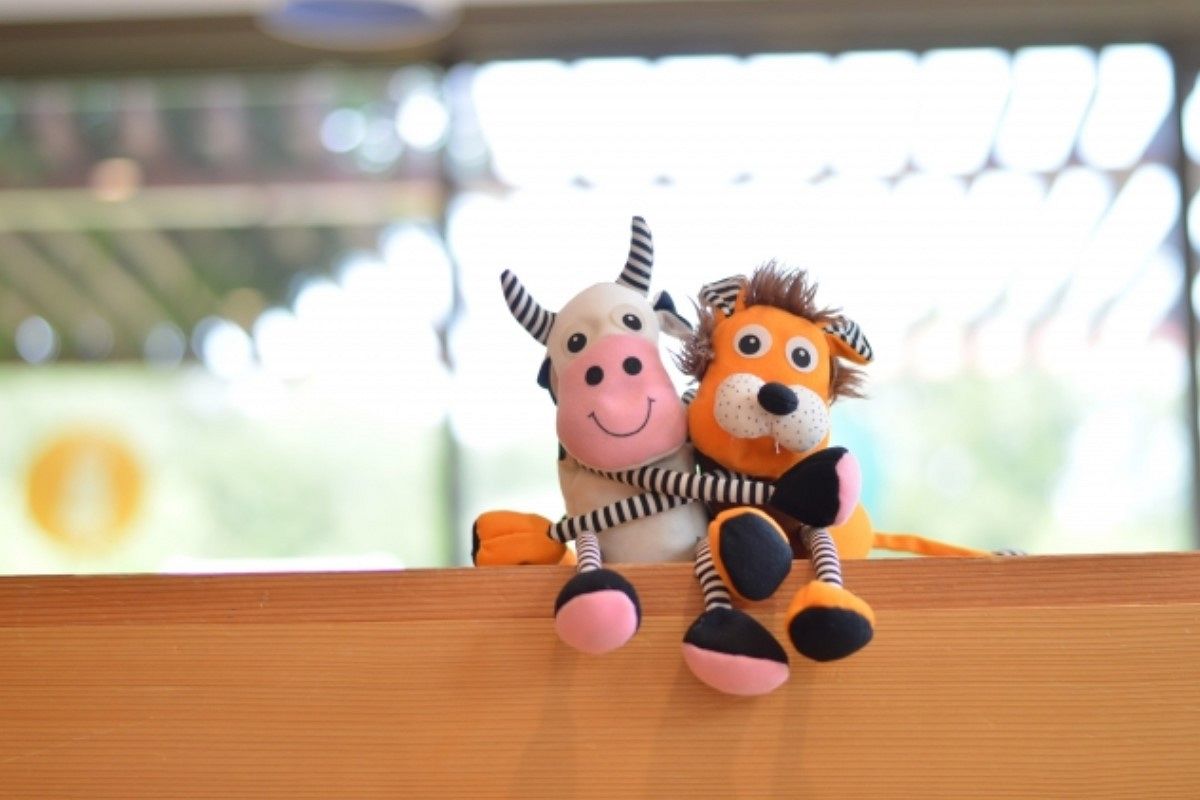 仲直りの夢は何を暗示している?