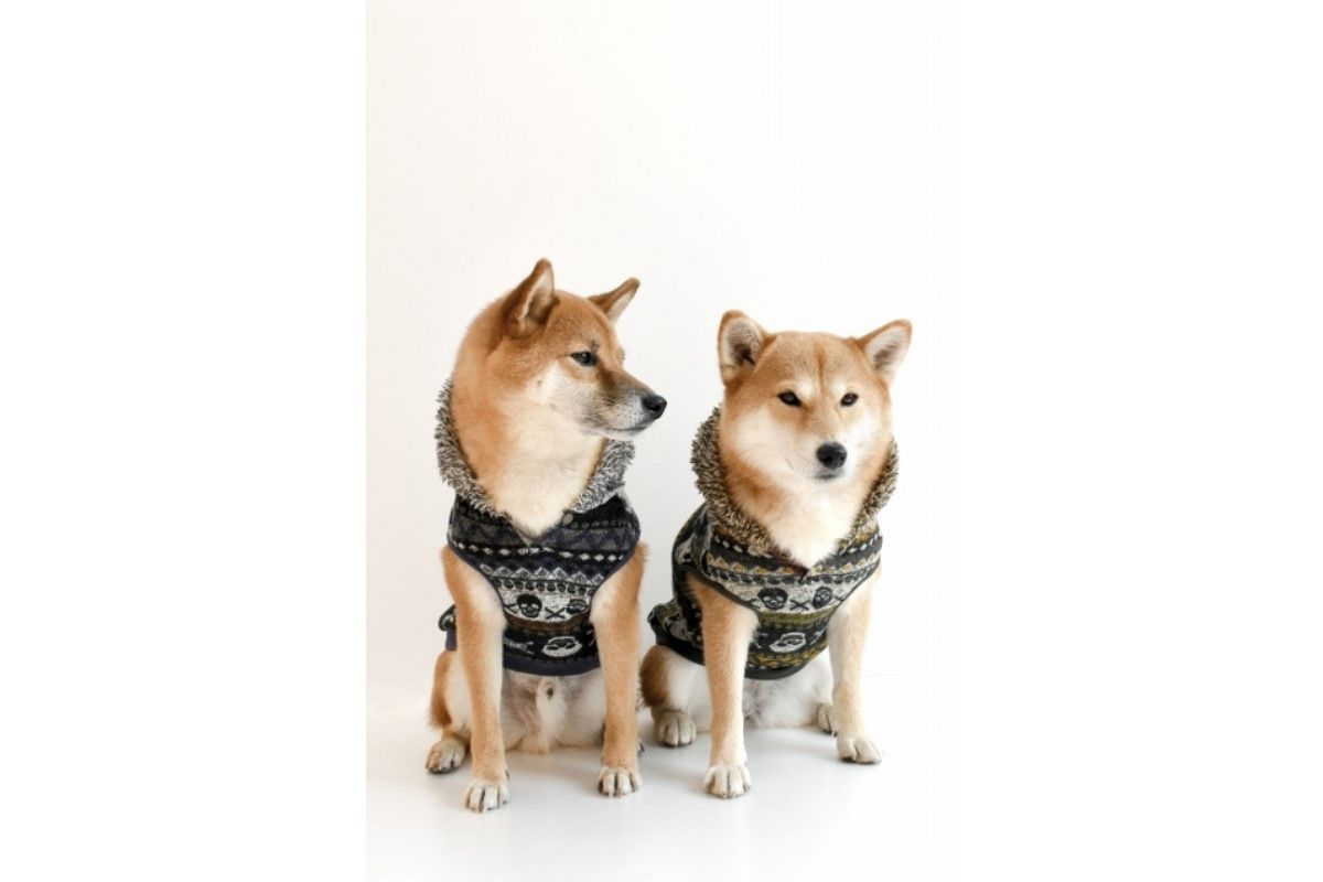 ペアルックの夢は何を暗示している?