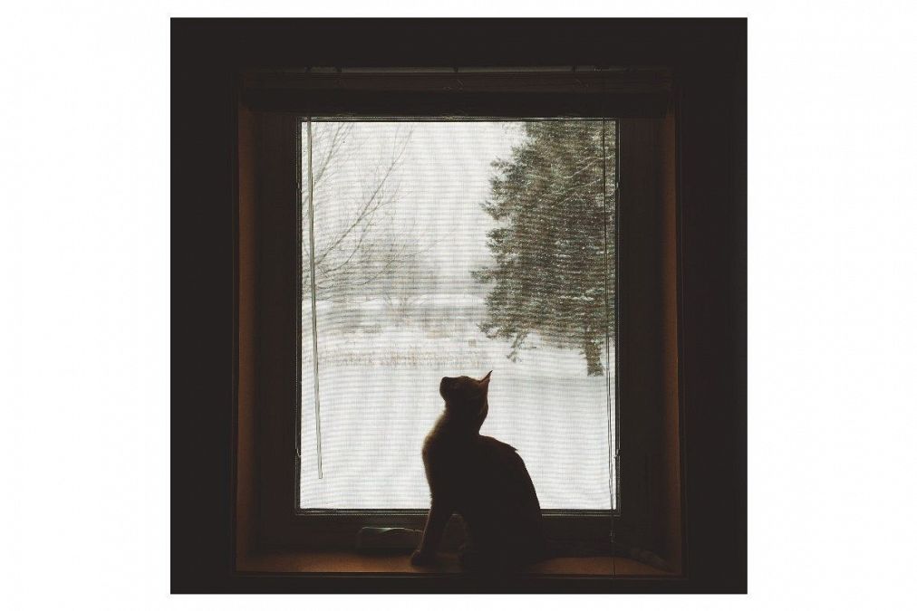 懐かしい夢は何を意味している?