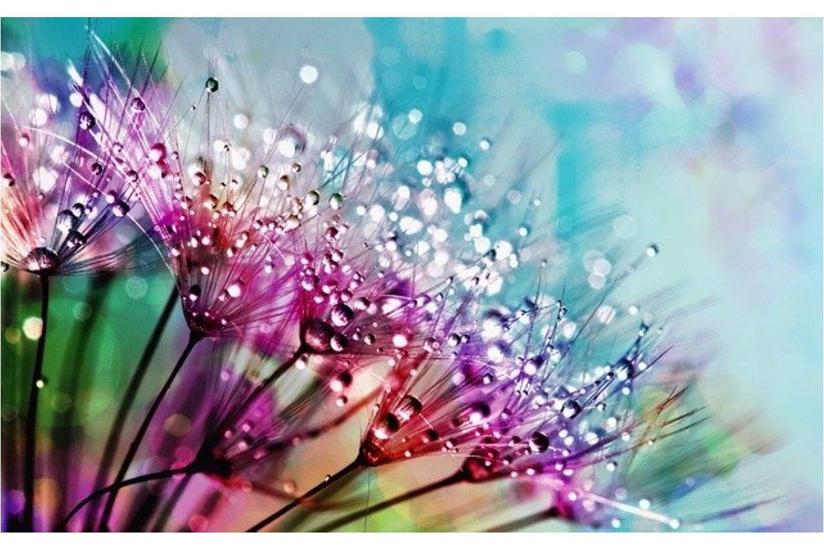 「あなただけに」秘密の相性占い◆あの人にモテたい!【モテテク】伝授