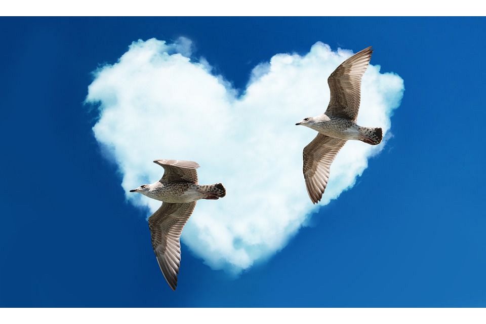 付き合っても大丈夫?⇒彼とあなたの恋人としての相性占い