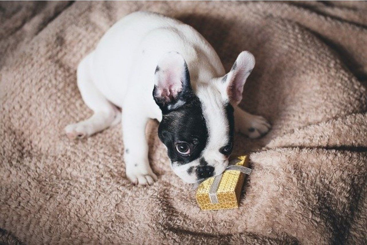 戻す夢は何を暗示している?