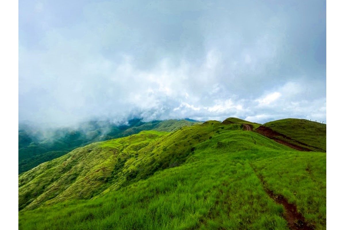 丘の夢は何を暗示している?