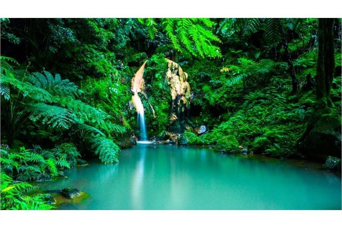 オアシスの夢は何を暗示している?