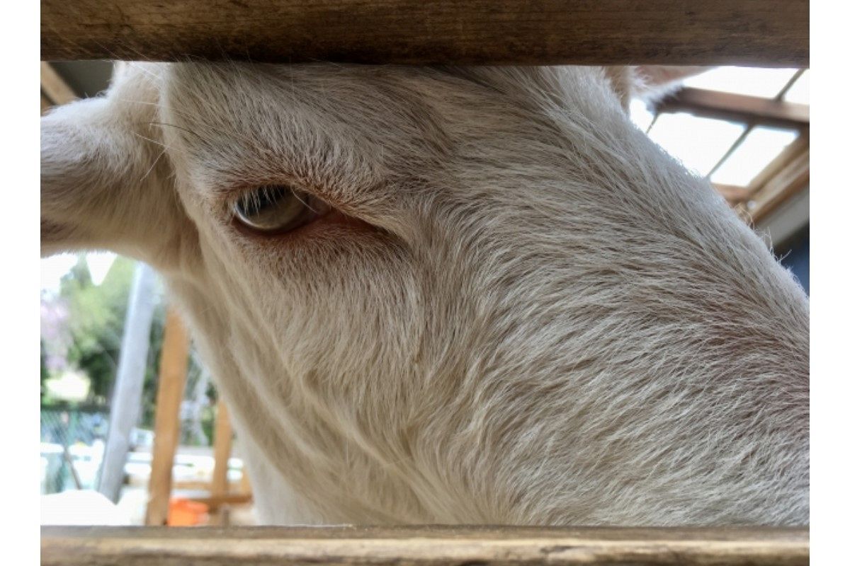 バレる夢は何を暗示している?