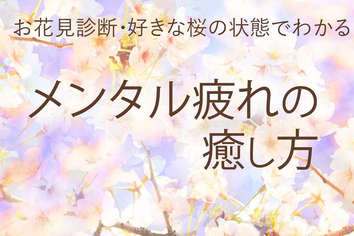 お花見診断・好きな桜の状態でわかる!あなたのハートが求めるメンタル疲れの癒し方