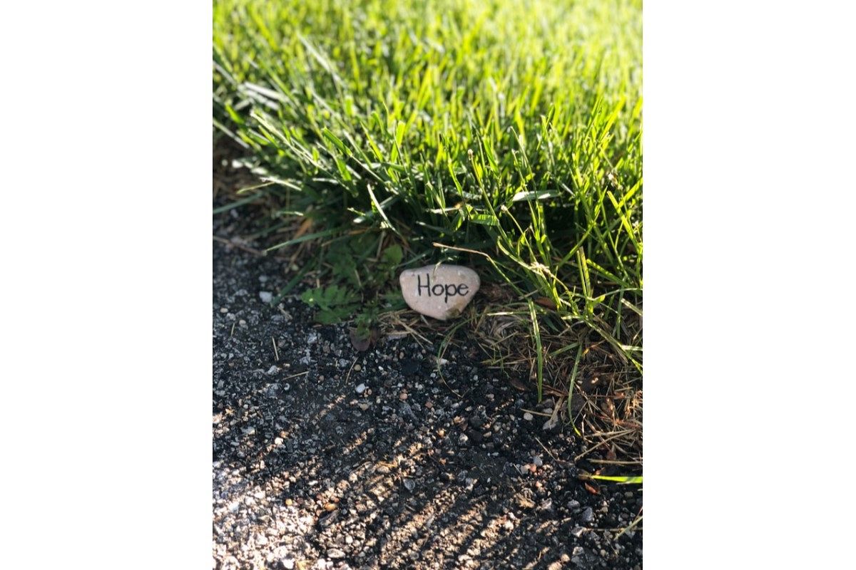 道草の夢は何を暗示している?