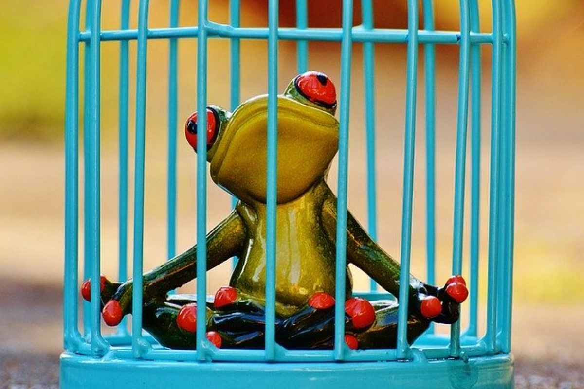 罪人の夢は何を暗示している?